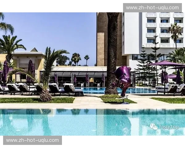 当东方雄狮遇上北非玫瑰：中国与摩洛哥的奇妙碰撞